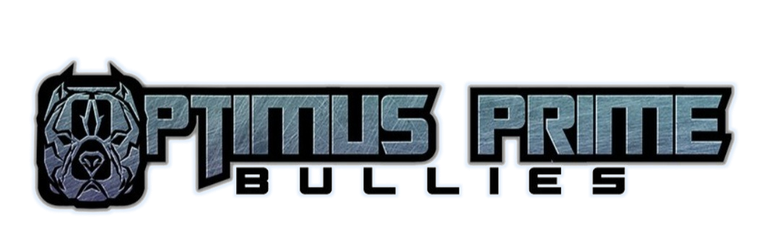 Optimus Prime Bullies